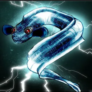 Electric Eels